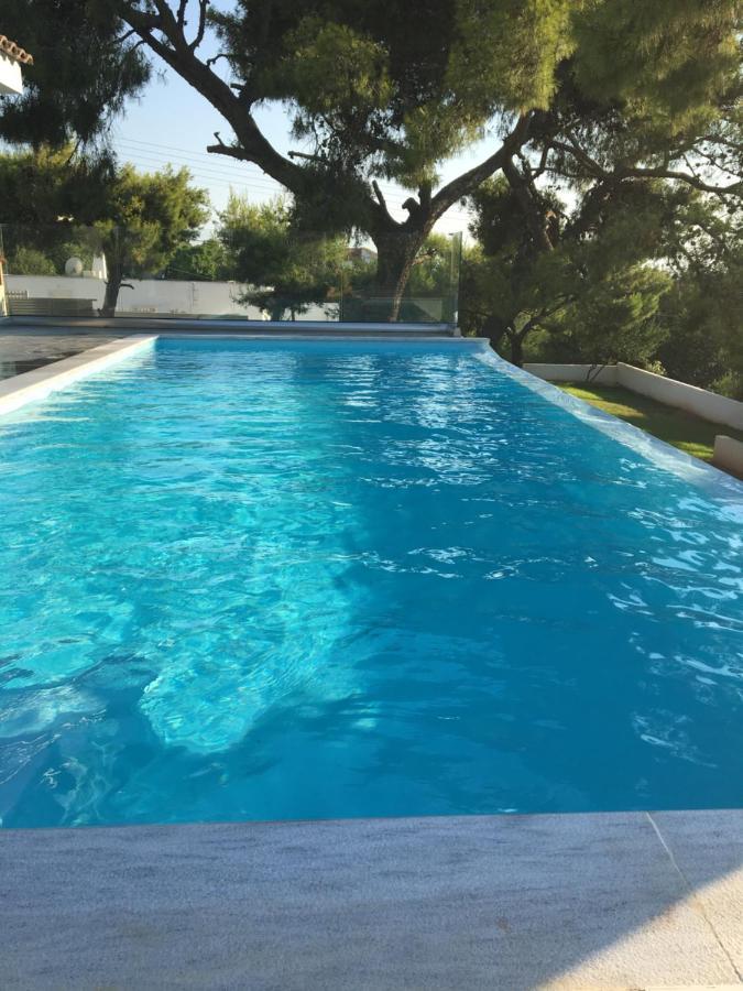 Villa Tranquility Lagonisi Exterior foto